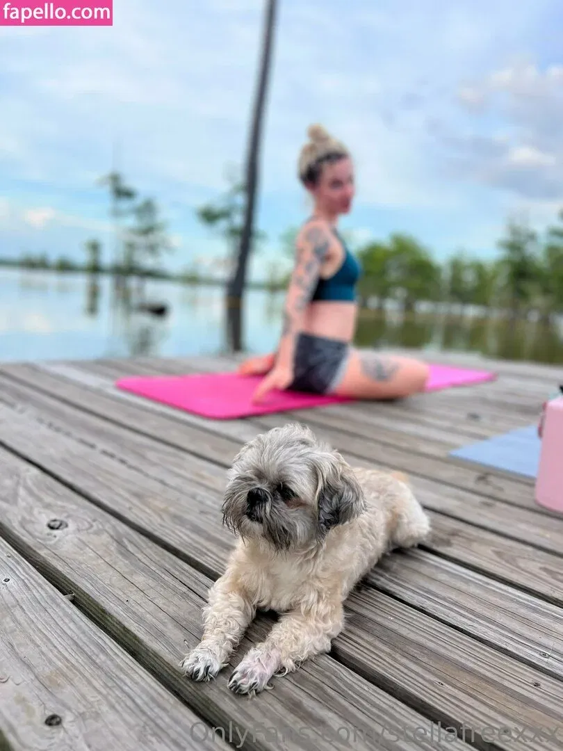 stellafreexxx Onlyfans Photo Gallery 