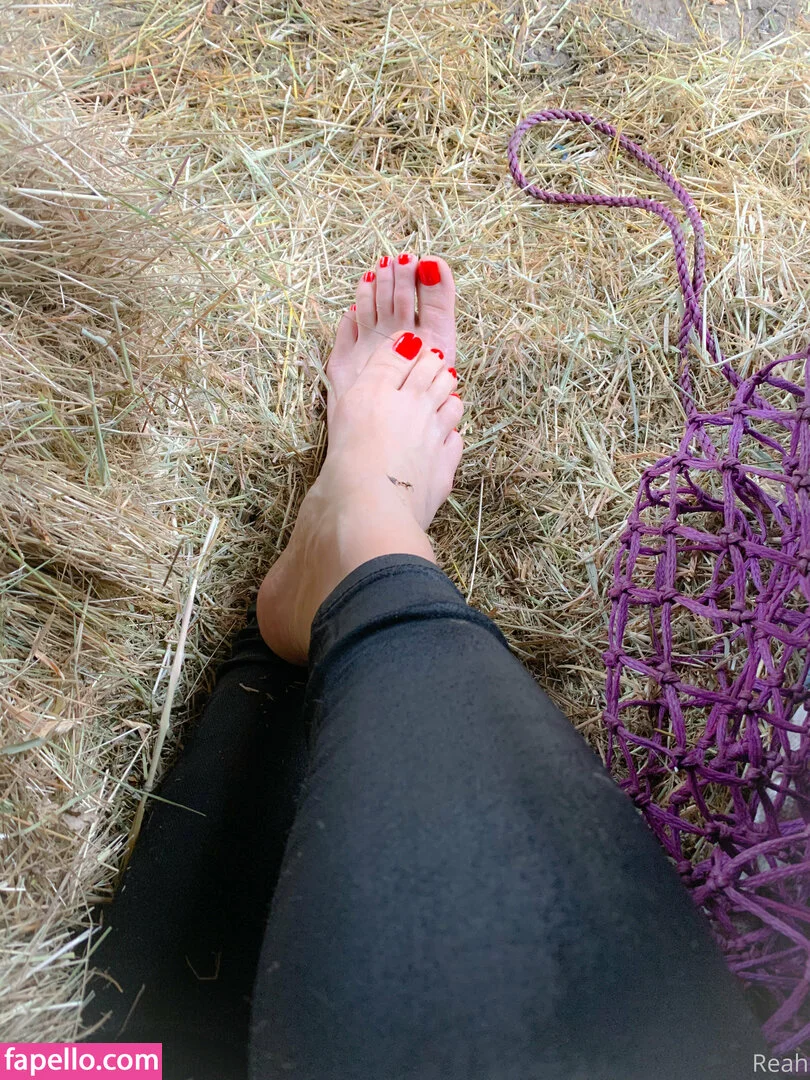 cheekysoles333 Onlyfans Photo Gallery 