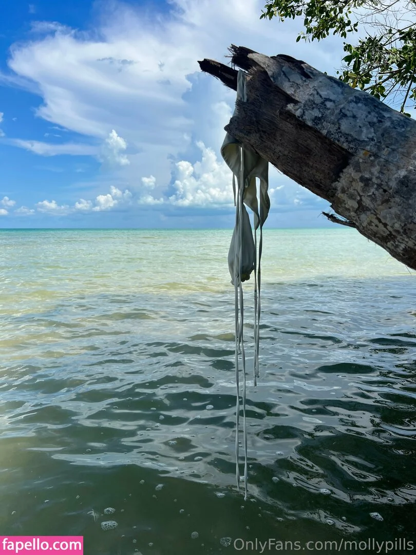 Mollypills Onlyfans Photo Gallery 