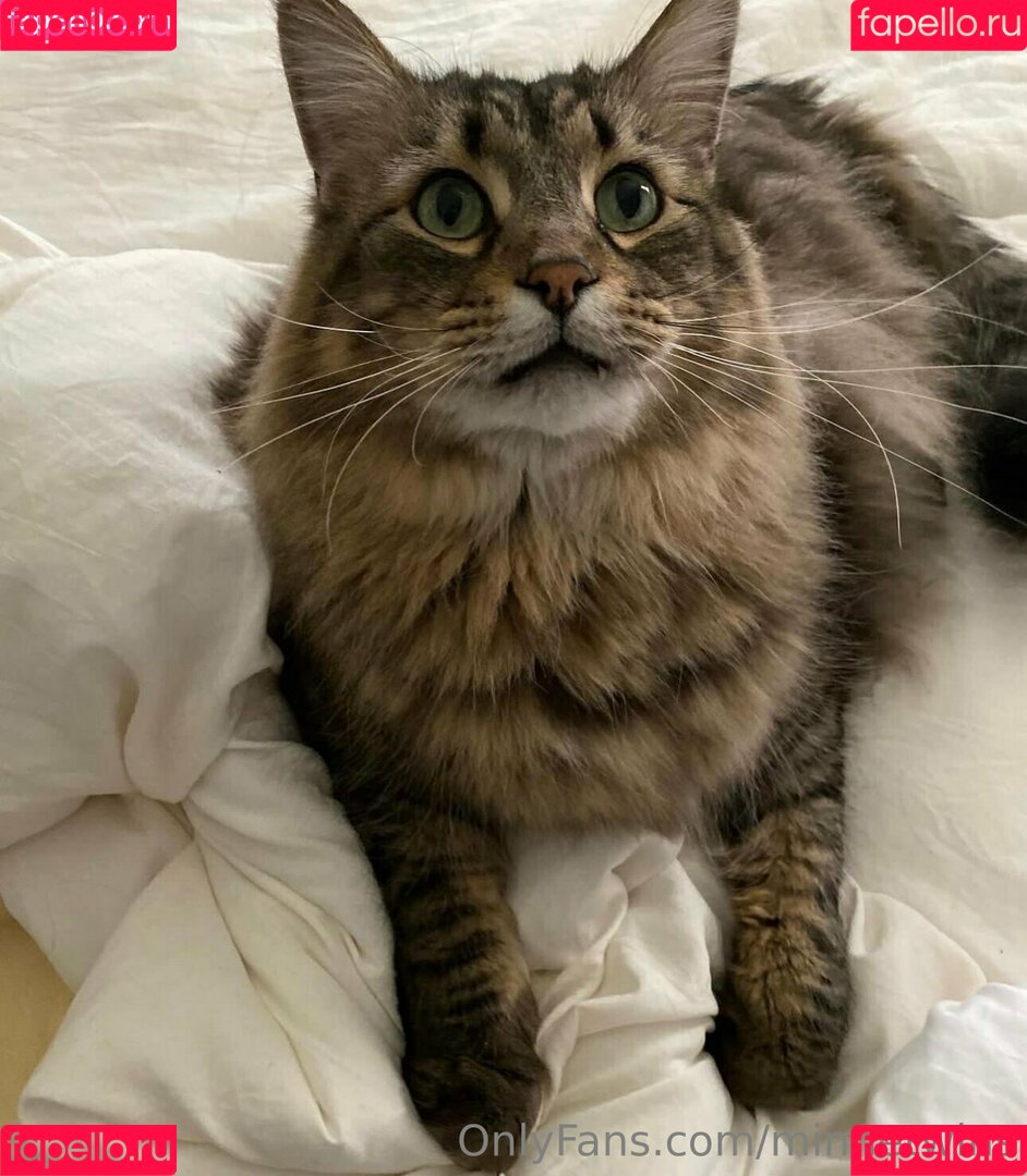 MinneTwins Onlyfans Photo Gallery 