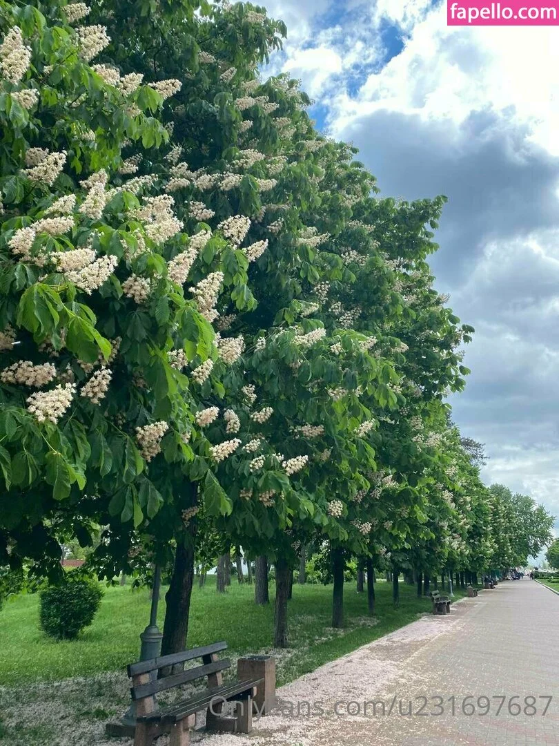 michel_mii Onlyfans Photo Gallery 