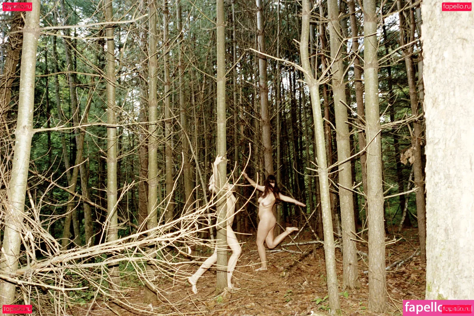 Abbey Lee Kershaw Onlyfans Photo Gallery 