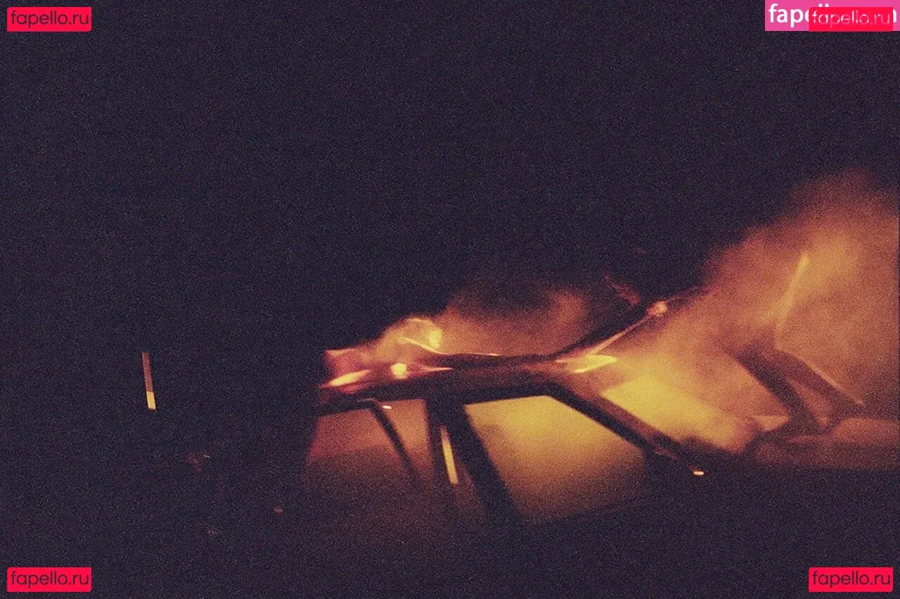 Abbey Lee Kershaw Onlyfans Photo Gallery 