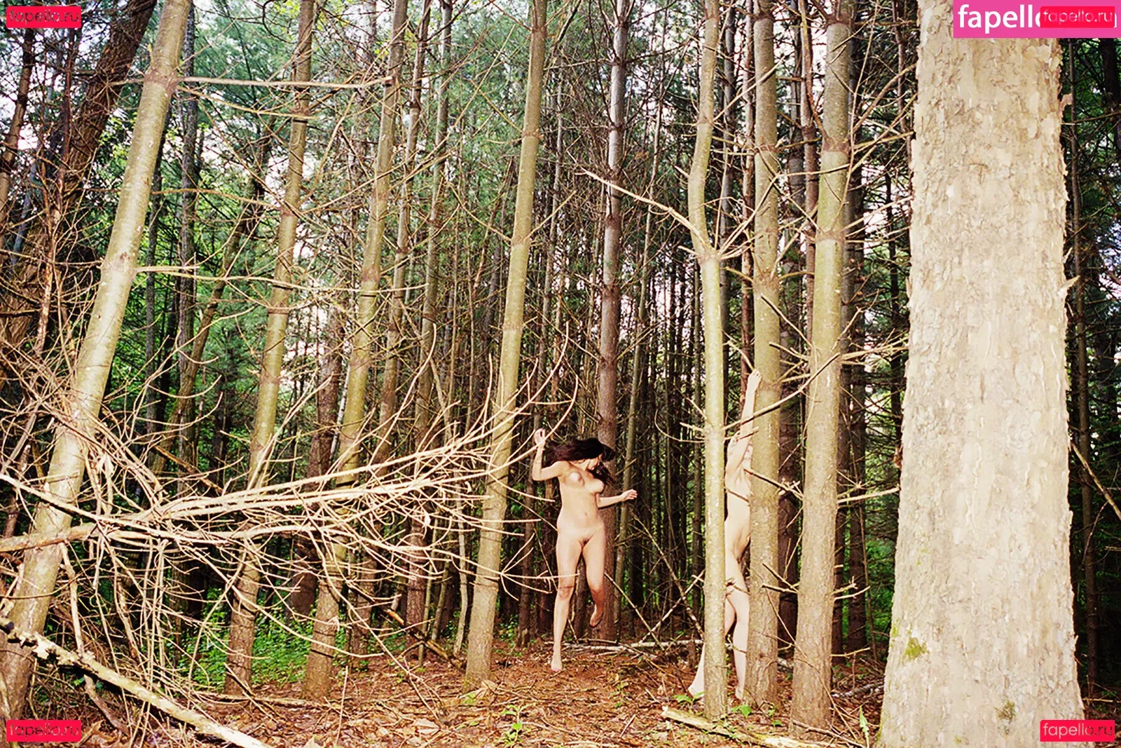 Abbey Lee Kershaw Onlyfans Photo Gallery 