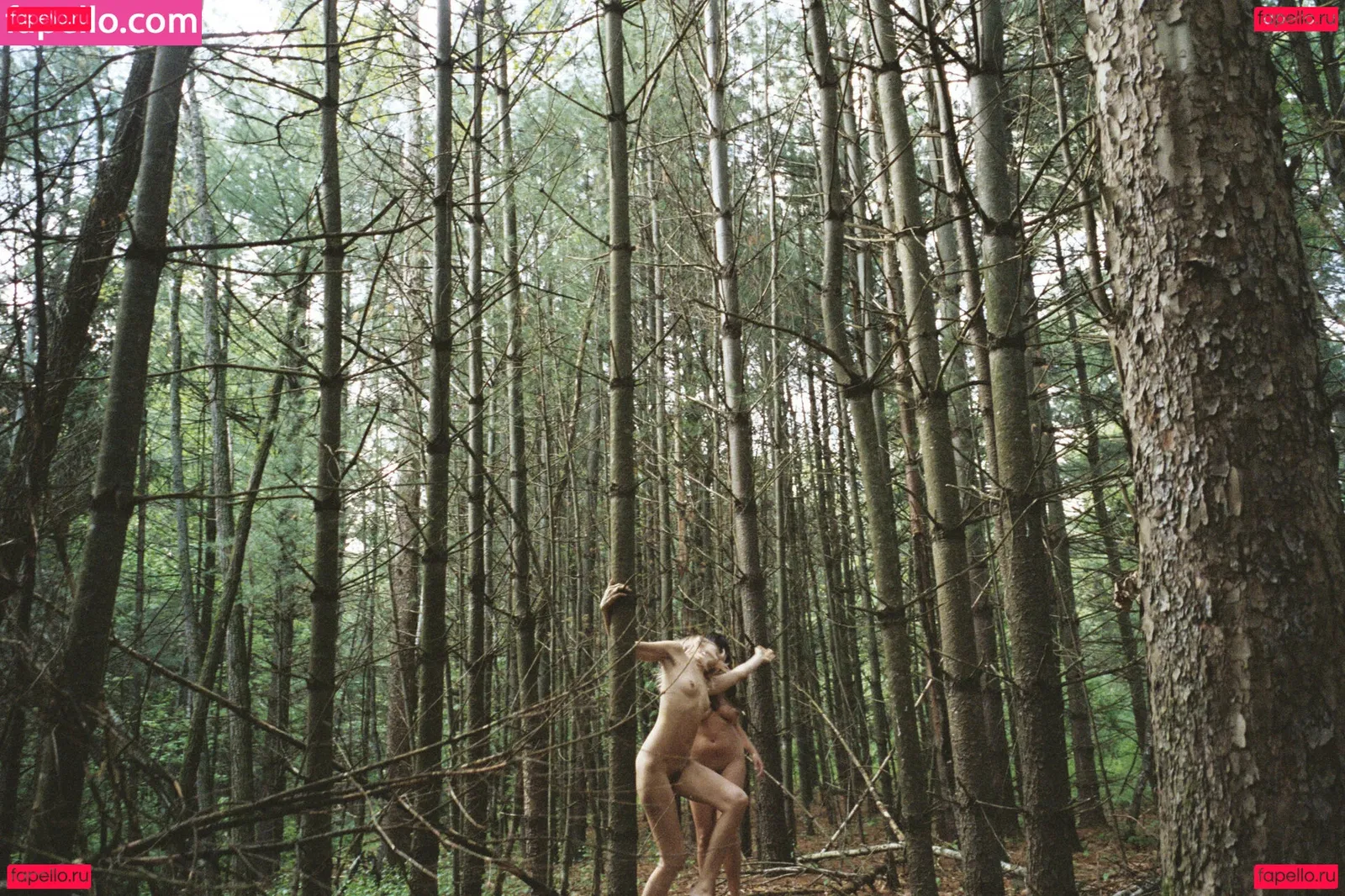 Abbey Lee Kershaw Onlyfans Photo Gallery 