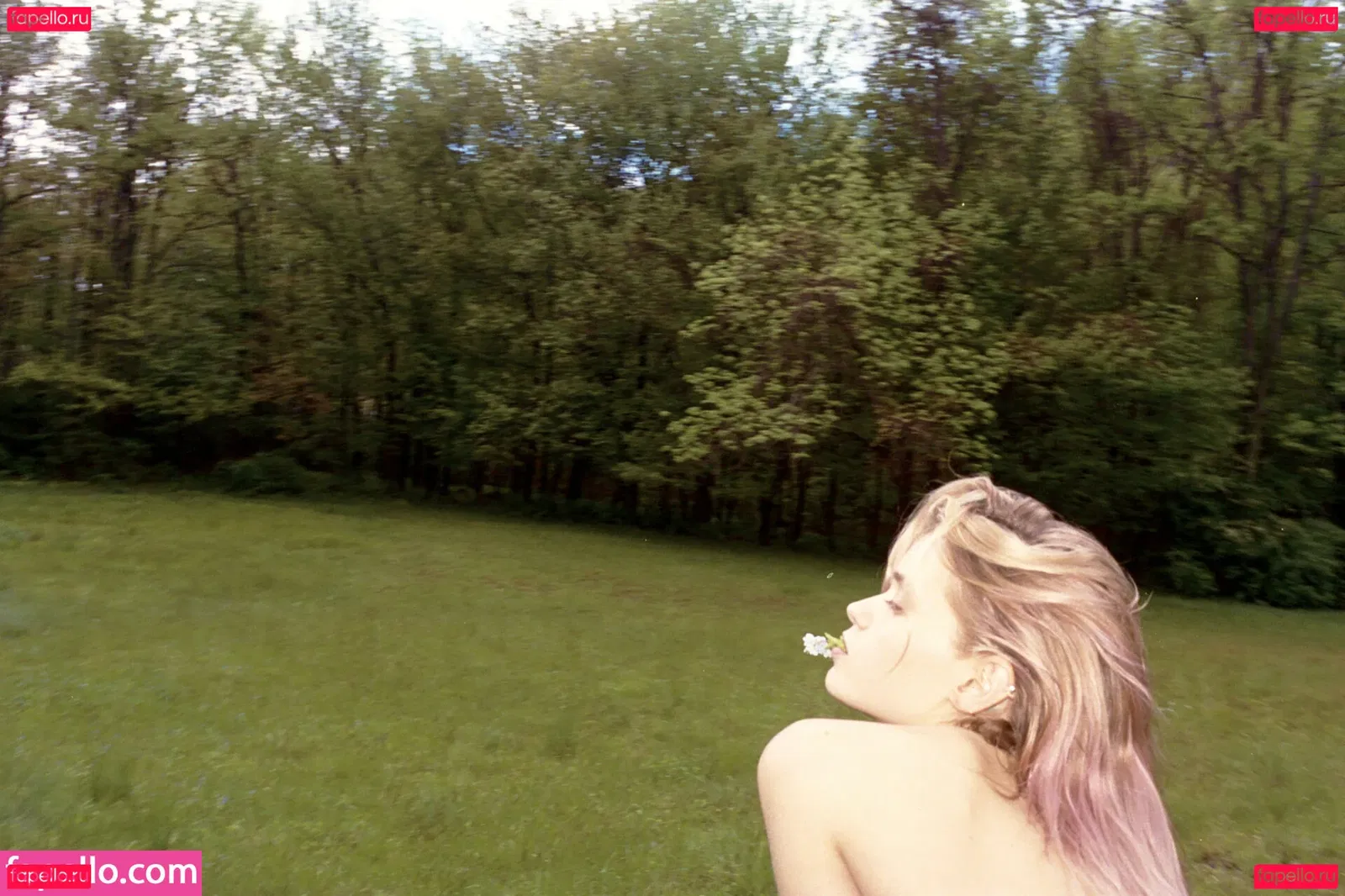 Abbey Lee Kershaw Onlyfans Photo Gallery 