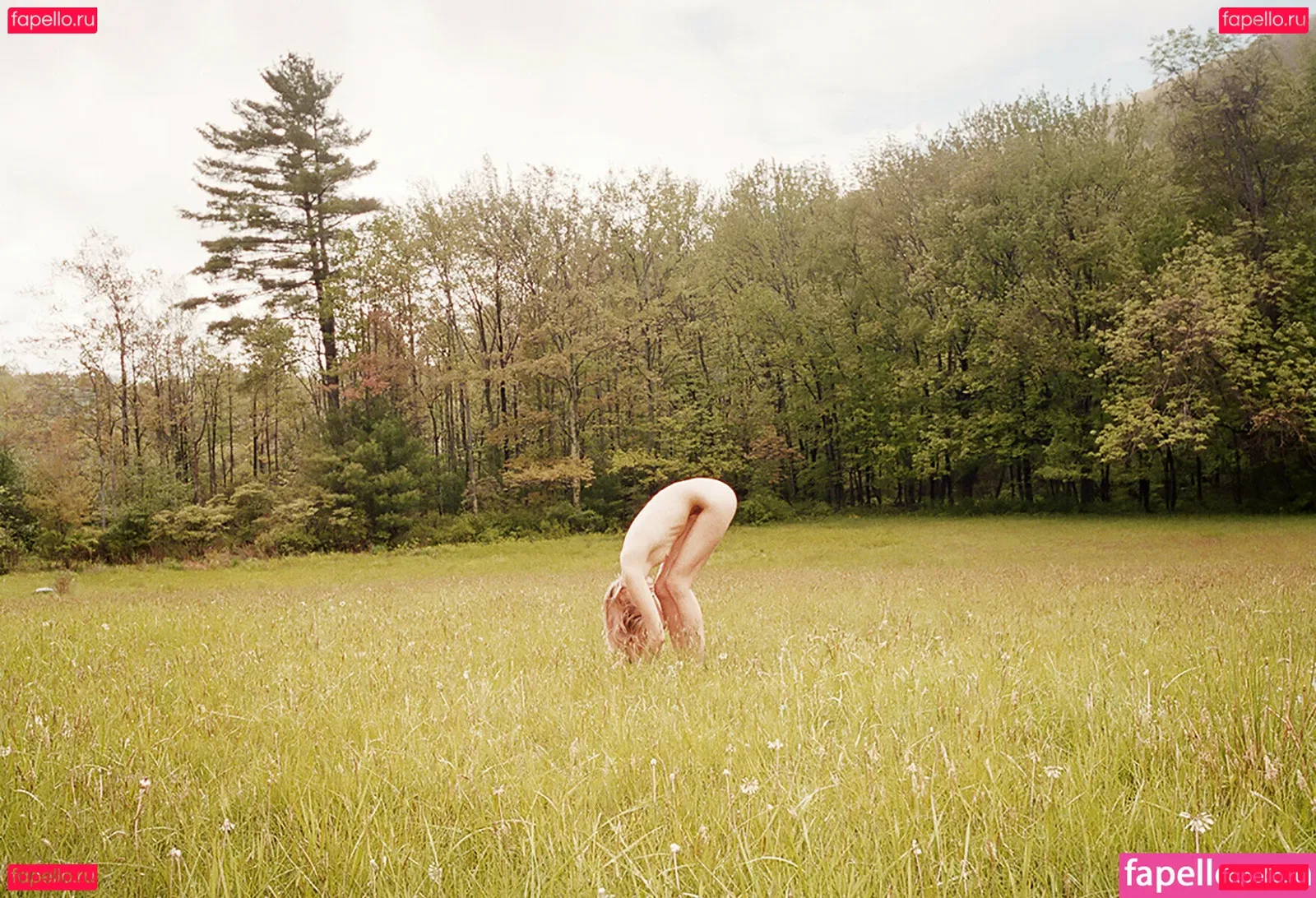 Abbey Lee Kershaw Onlyfans Photo Gallery 