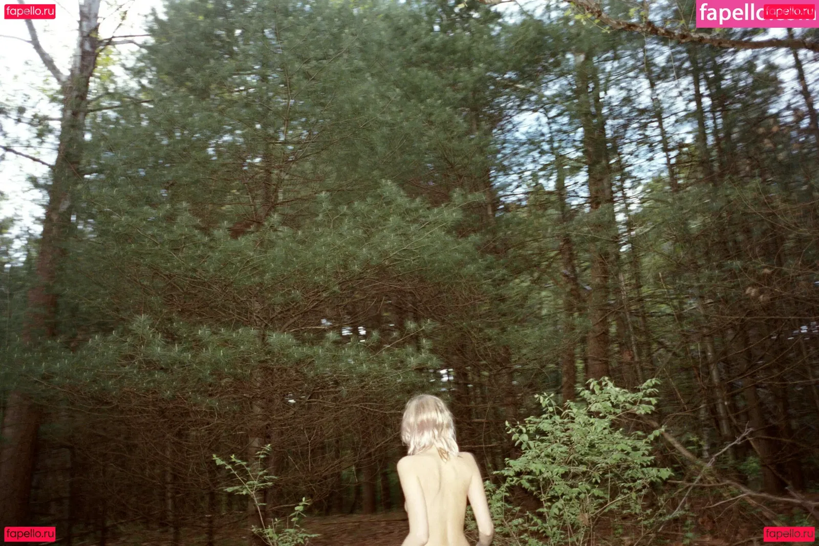 Abbey Lee Kershaw Onlyfans Photo Gallery 