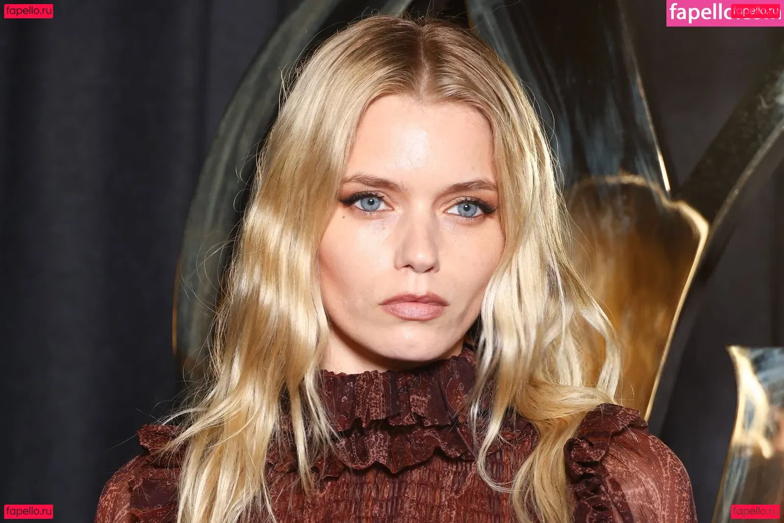 Abbey Lee Kershaw Onlyfans Photo Gallery 
