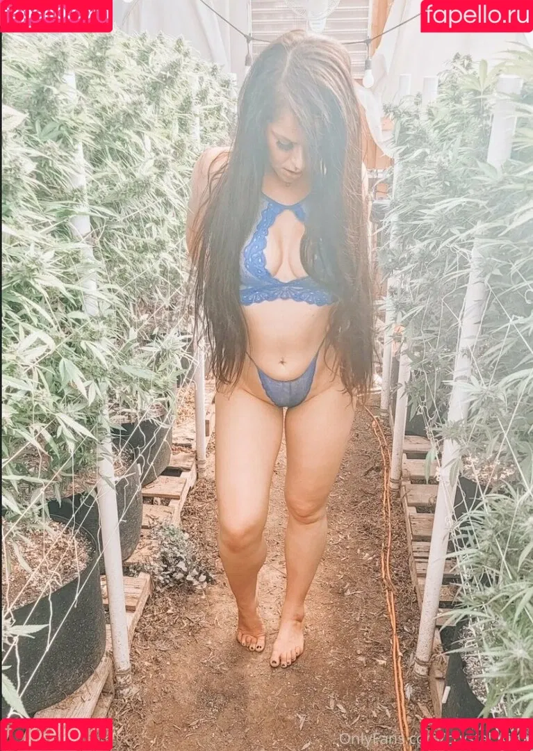 crystal_kitty Onlyfans Photo Gallery 