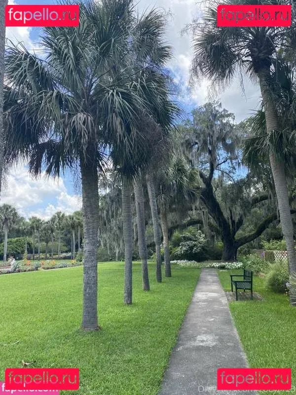 Zoey Taylor Onlyfans Photo Gallery 