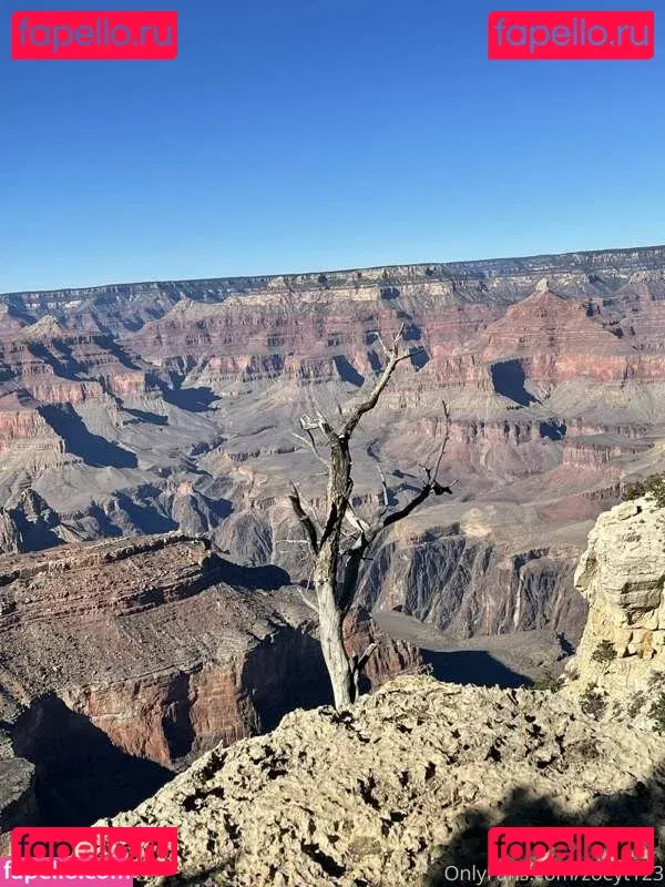 Zoey Taylor Onlyfans Photo Gallery 