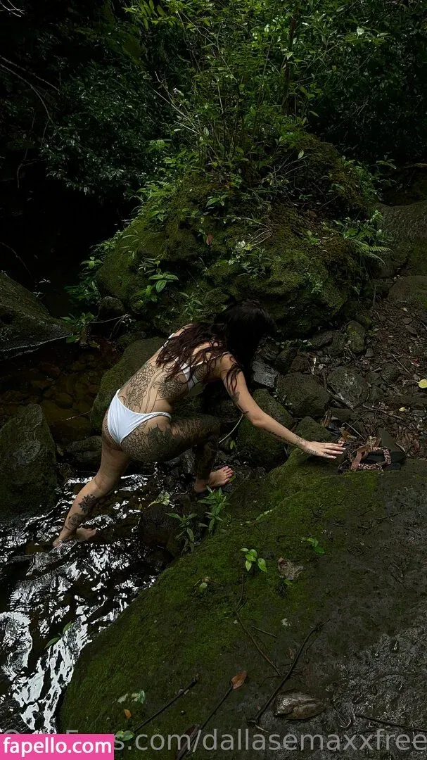 dallasemaxxfree Onlyfans Photo Gallery 