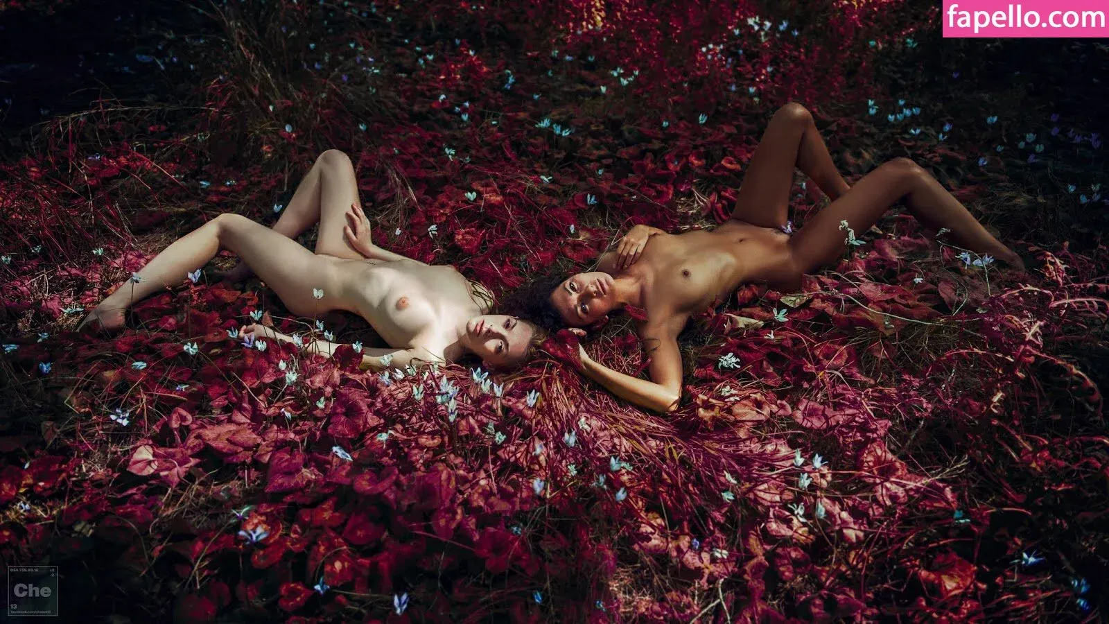 Olga Kobzar Onlyfans Photo Gallery 