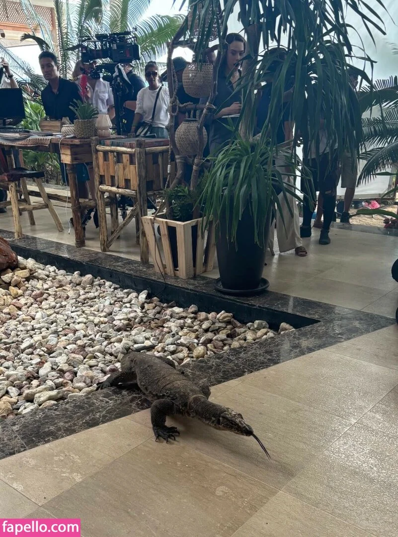 Daisy Ridley Onlyfans Photo Gallery 