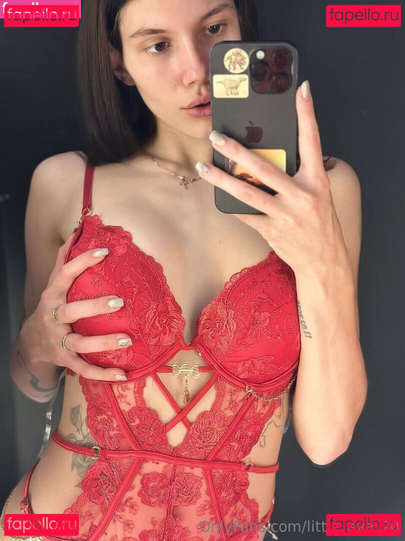 little_eva_21 Nude Onlyfans Photo 41