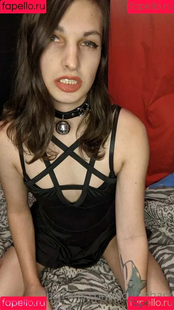 acuteshark Onlyfans Photo Gallery 