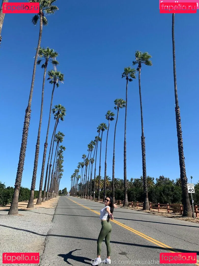 sakuratheforbiddenfruit Onlyfans Photo Gallery 