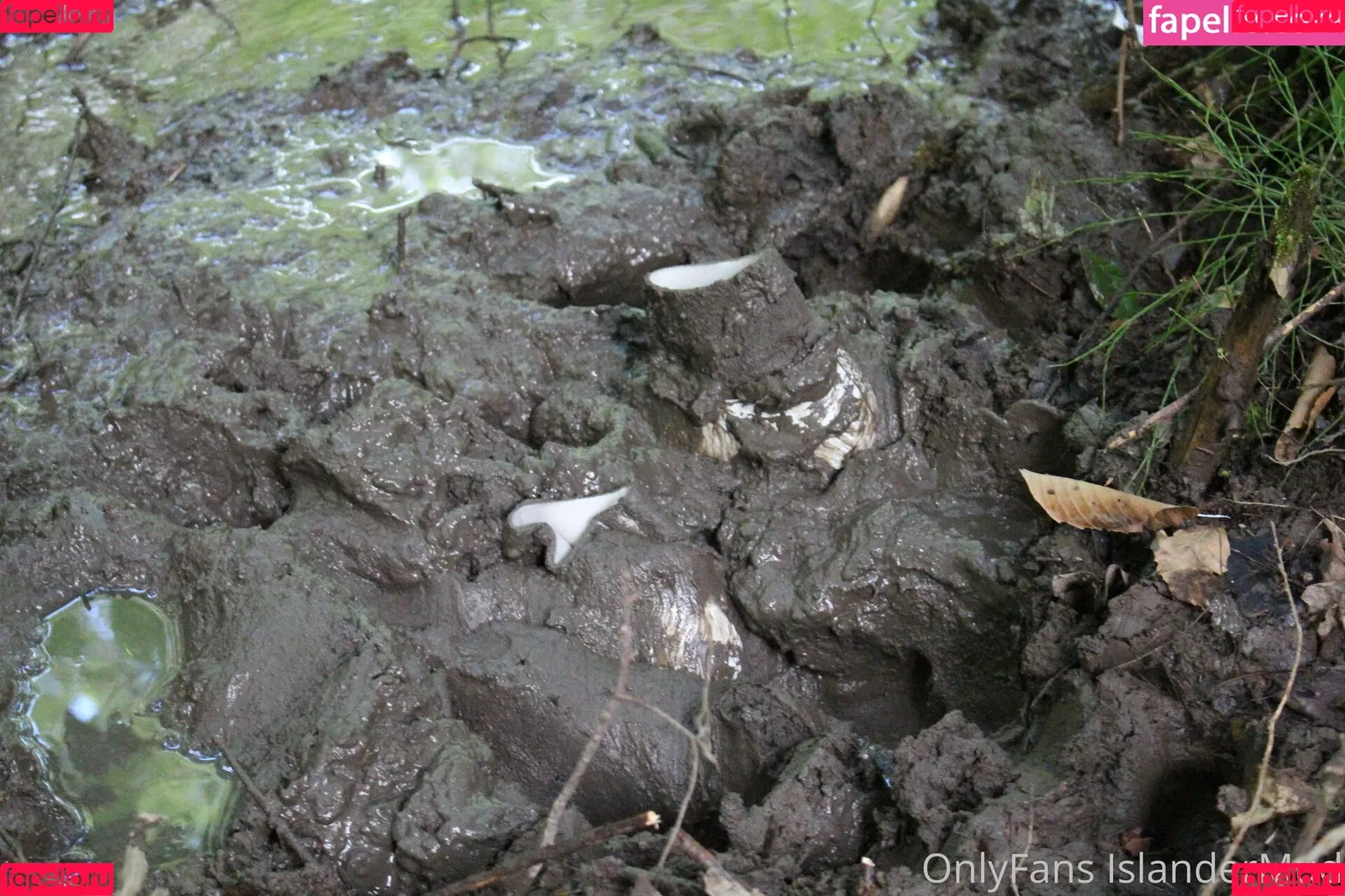 islandermud Onlyfans Photo Gallery 