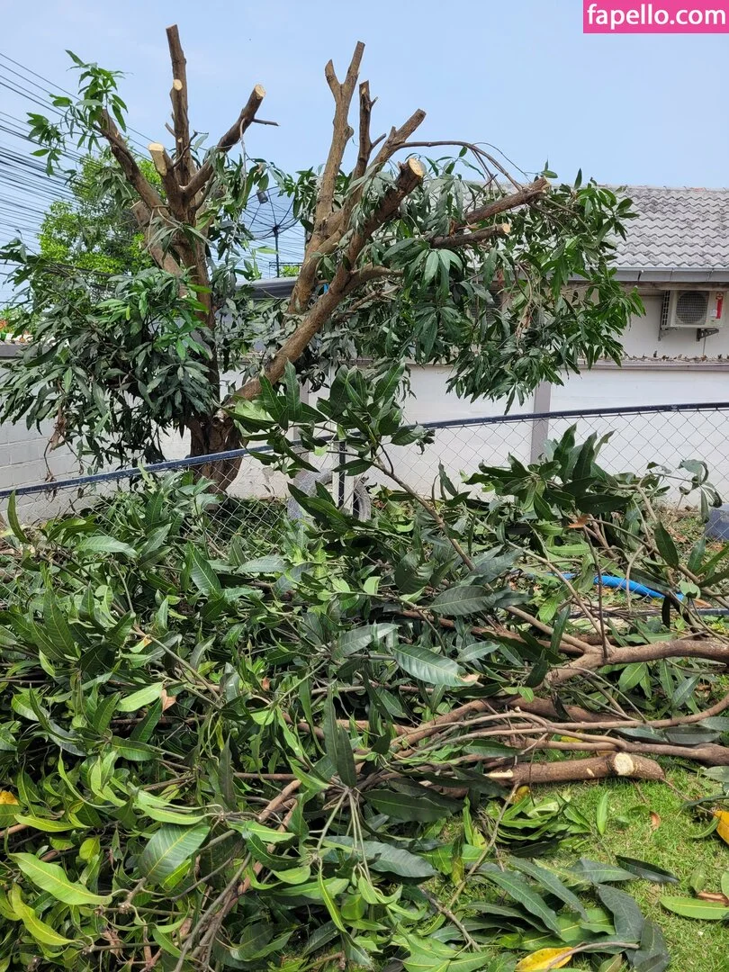 mayleefun Onlyfans Photo Gallery 