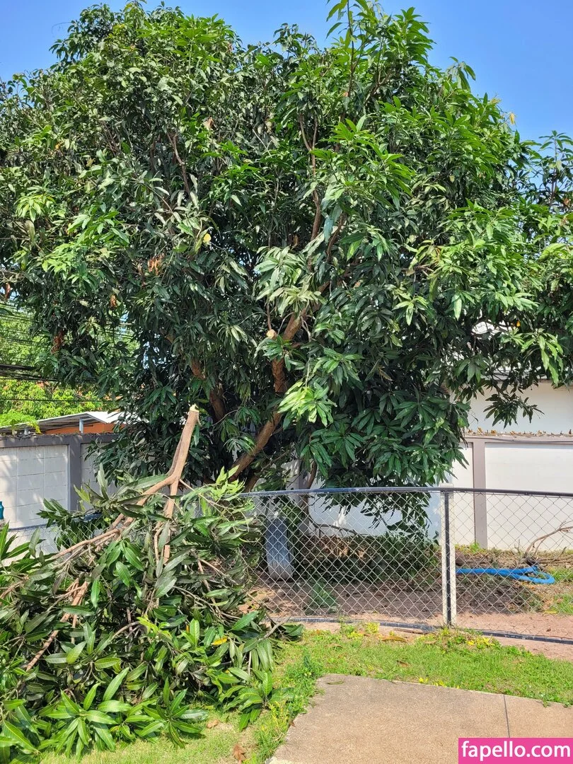 mayleefun Onlyfans Photo Gallery 