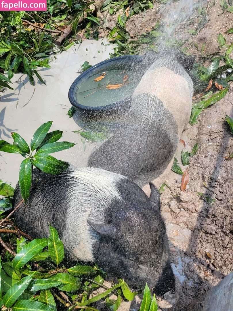 mayleefun Onlyfans Photo Gallery 