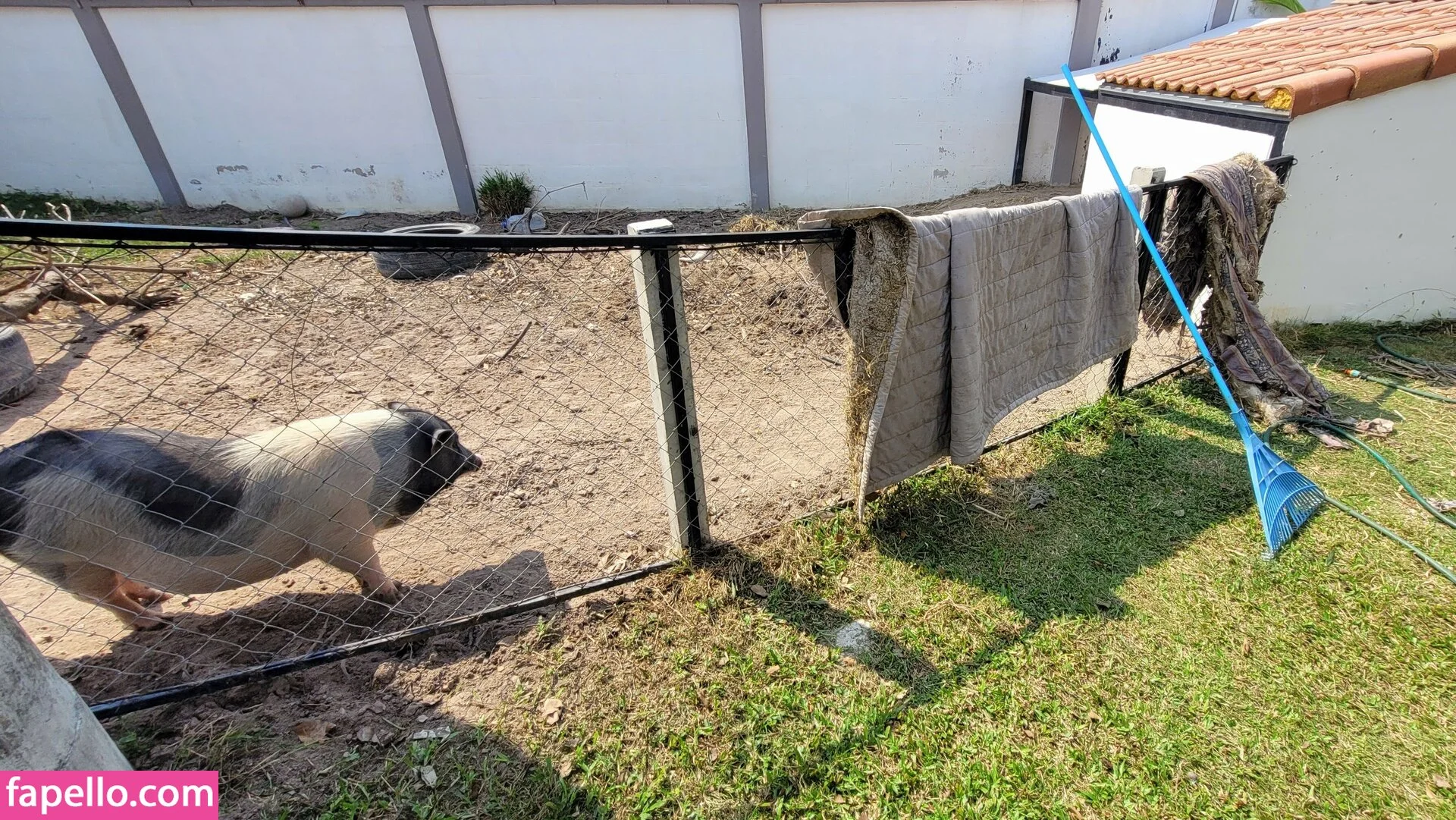 mayleefun Onlyfans Photo Gallery 