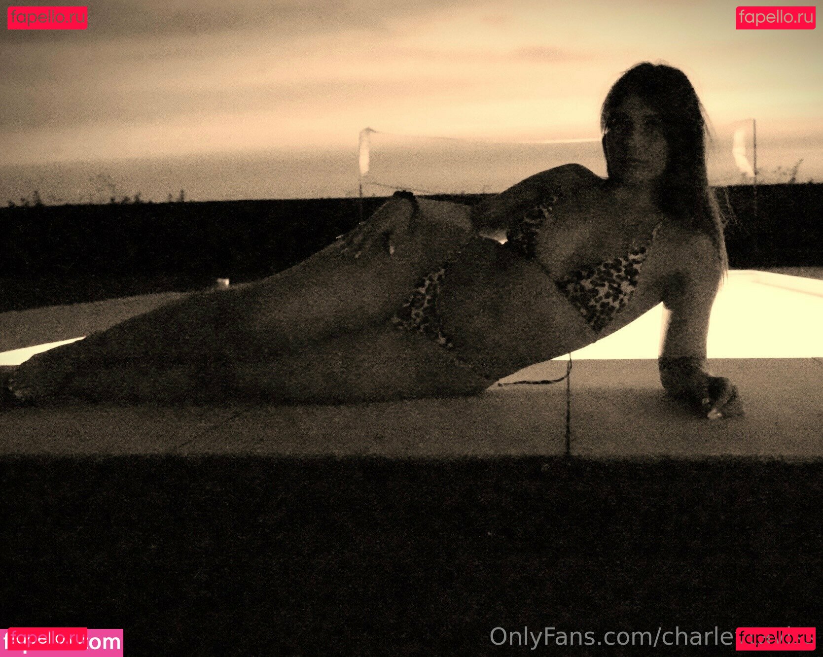 charleytaylss Nude Onlyfans Photo 15