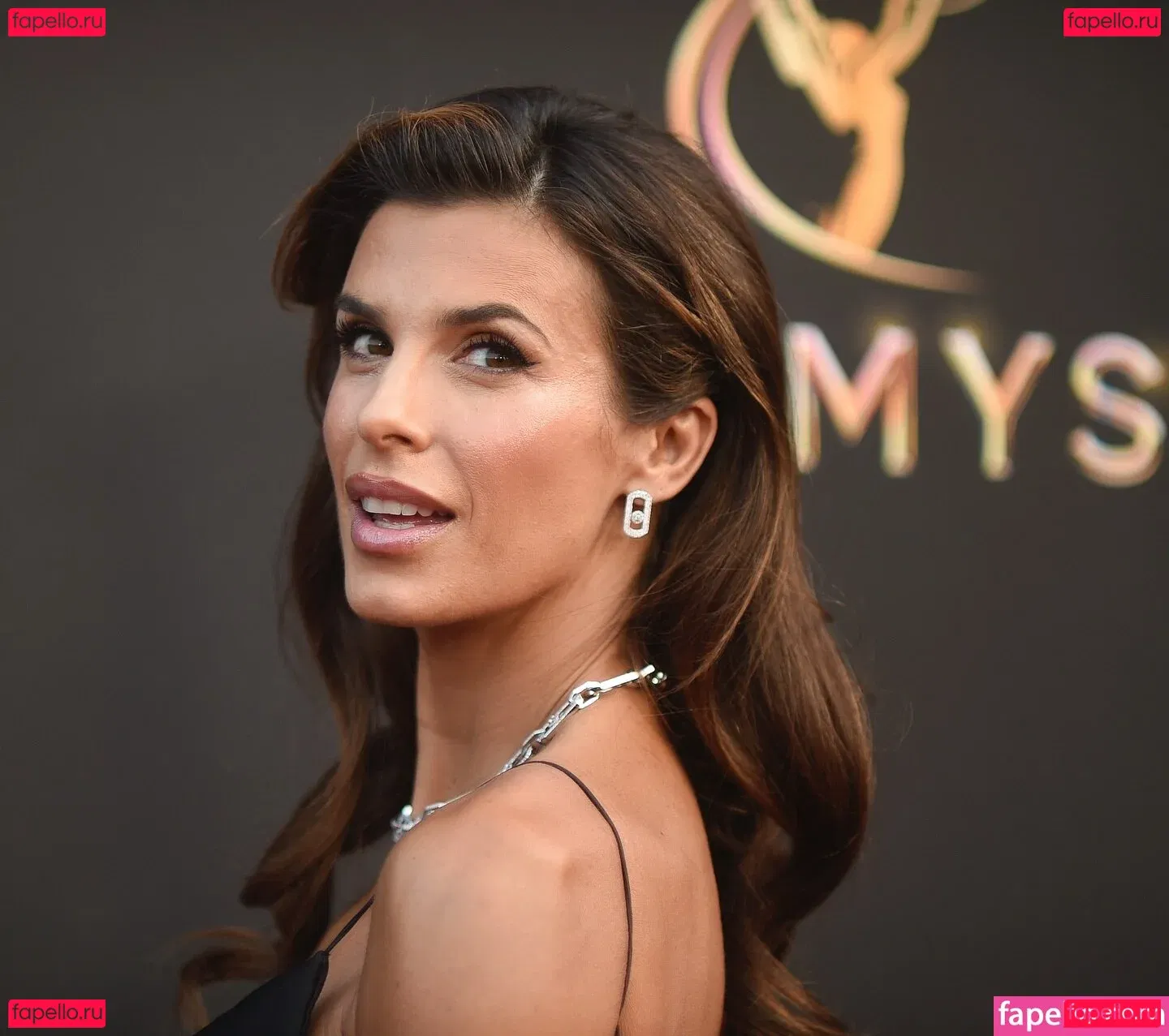 Elisabetta Canalis Onlyfans Photo Gallery 