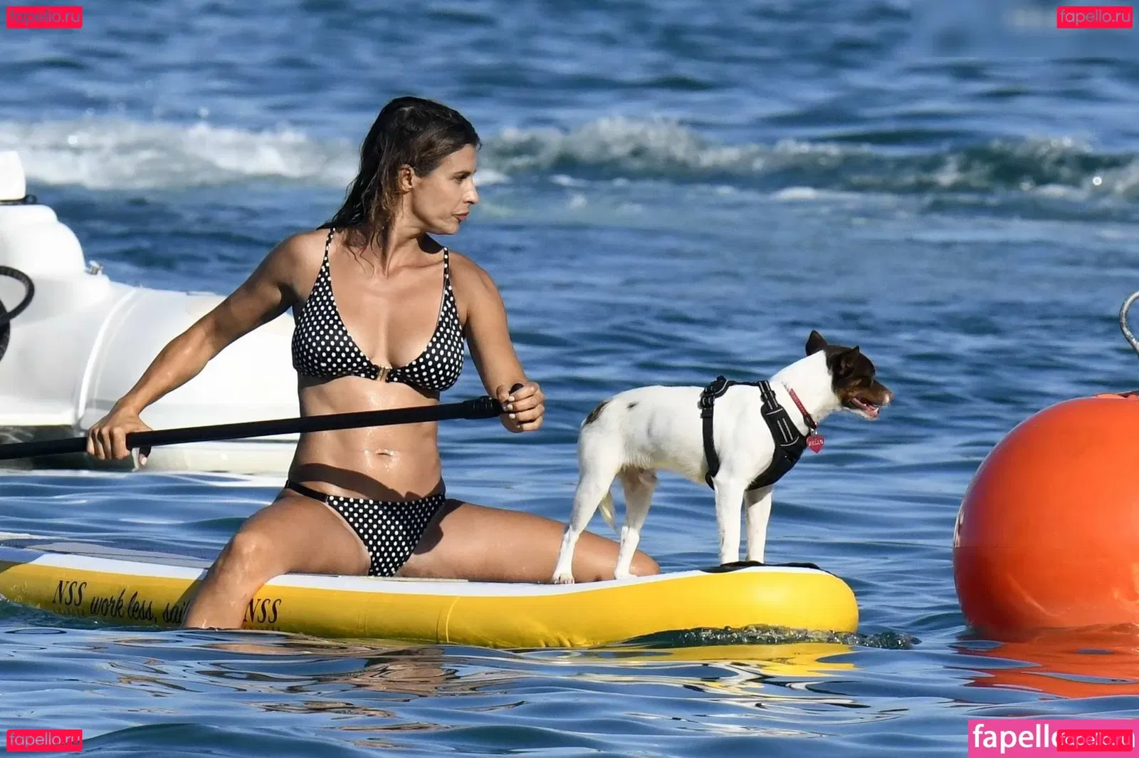 Elisabetta Canalis Onlyfans Photo Gallery 