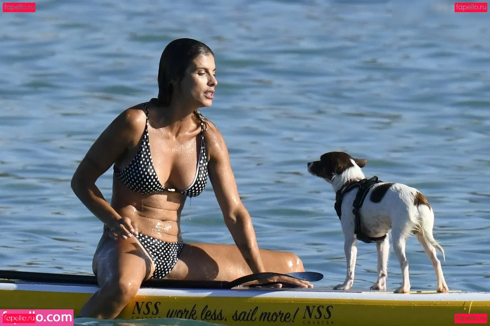 Elisabetta Canalis Onlyfans Photo Gallery 