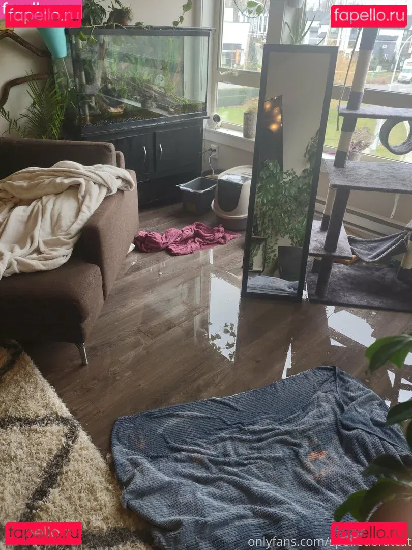 spoiledbratcat Onlyfans Photo Gallery 