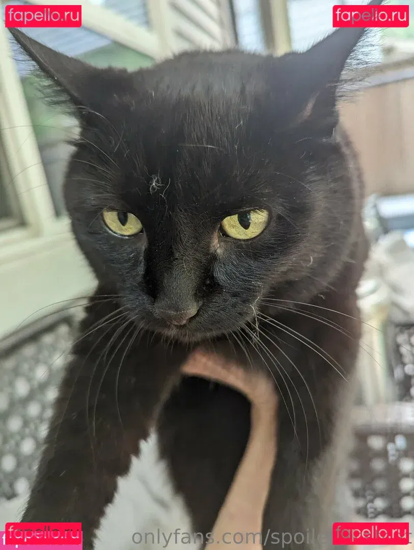 spoiledbratcat Onlyfans Photo Gallery 