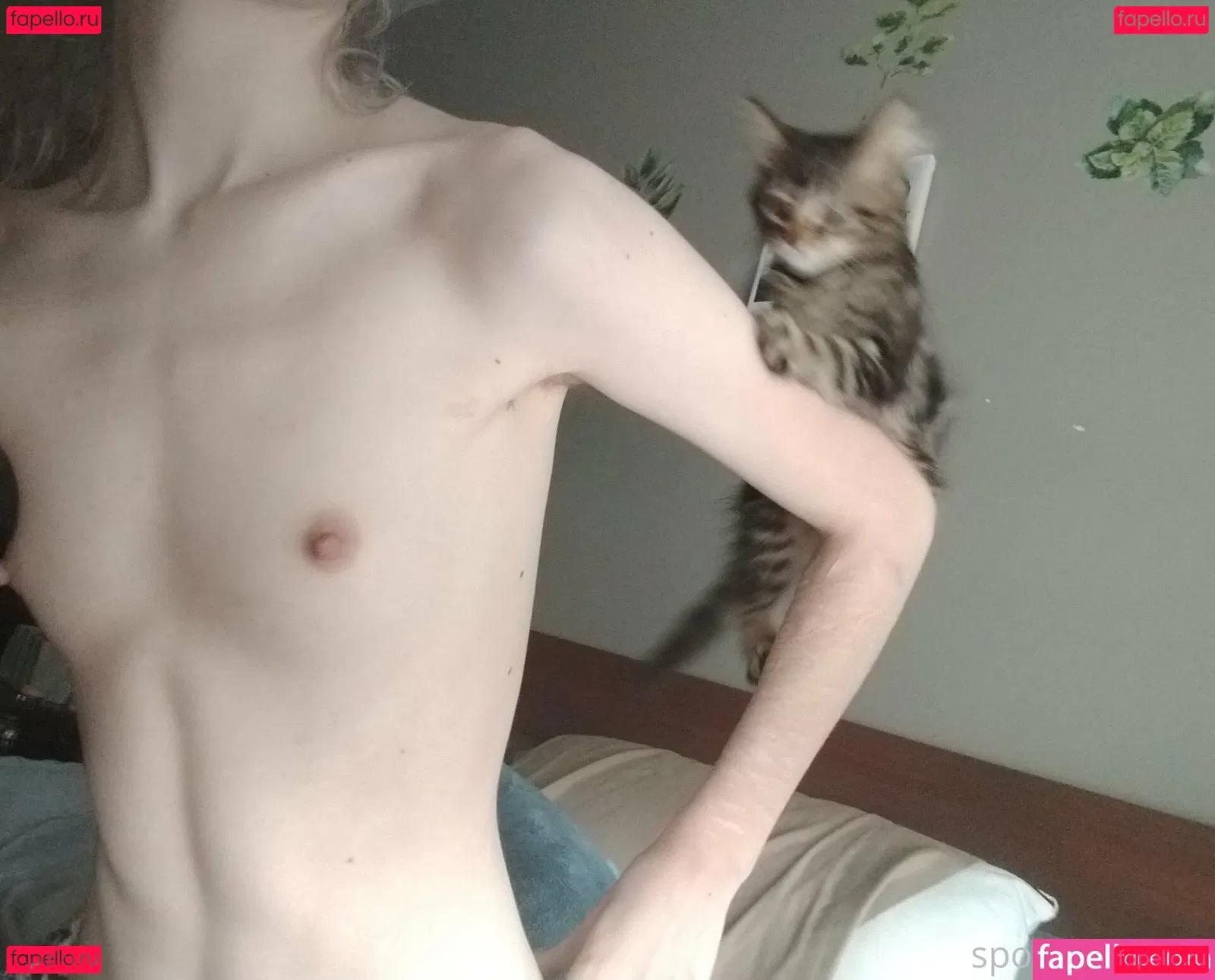 spoiledbratcat Onlyfans Photo Gallery 