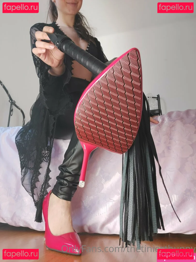 thetiniestbunny Onlyfans Photo Gallery 