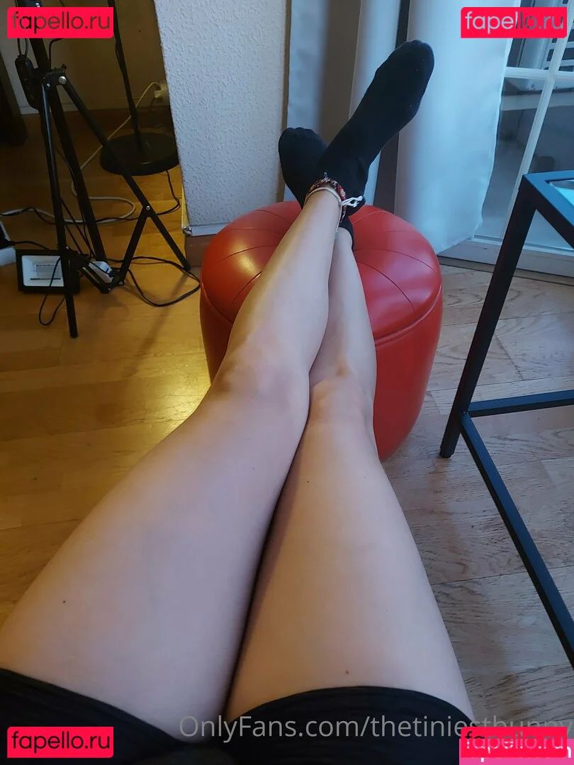 thetiniestbunny Onlyfans Photo Gallery 