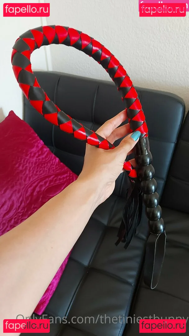 thetiniestbunny Onlyfans Photo Gallery 