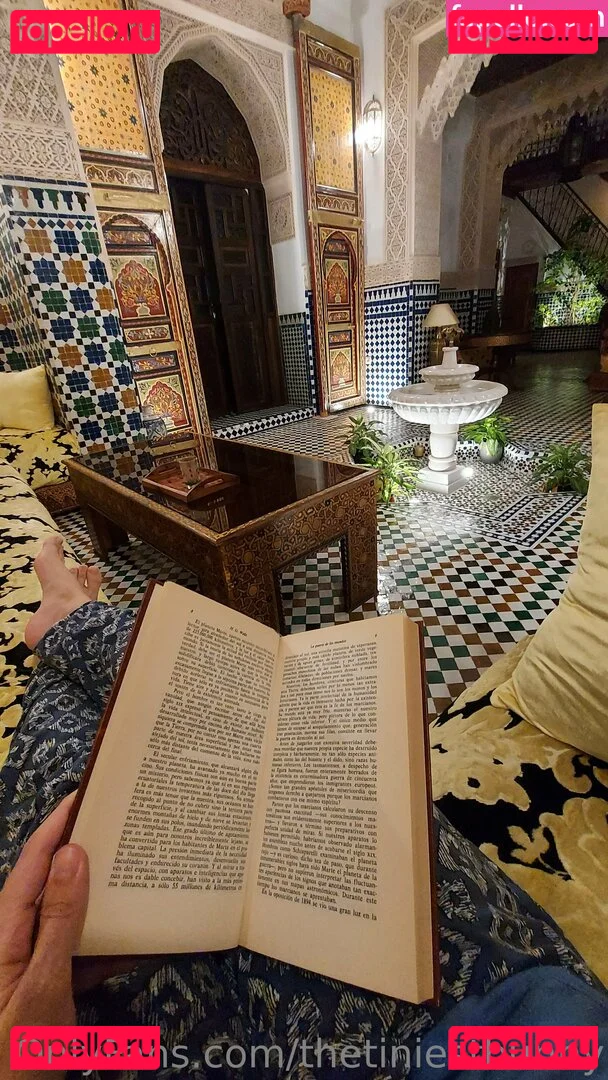 thetiniestbunny Onlyfans Photo Gallery 