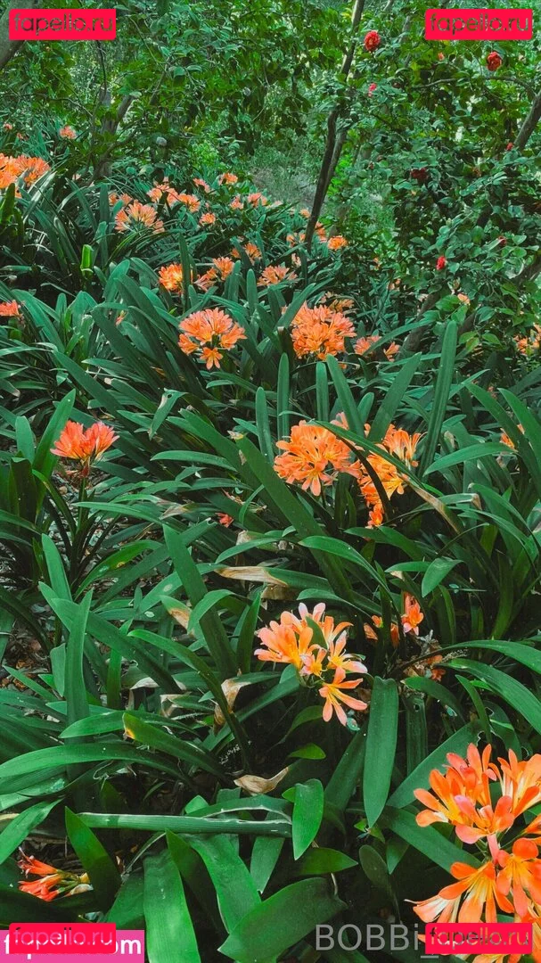 Bobbi_dean Onlyfans Photo Gallery 