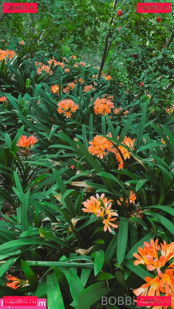 Bobbi_dean Onlyfans Photo Gallery 