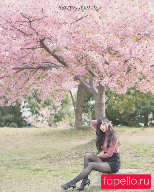 Ayachamo Onlyfans Photo Gallery 