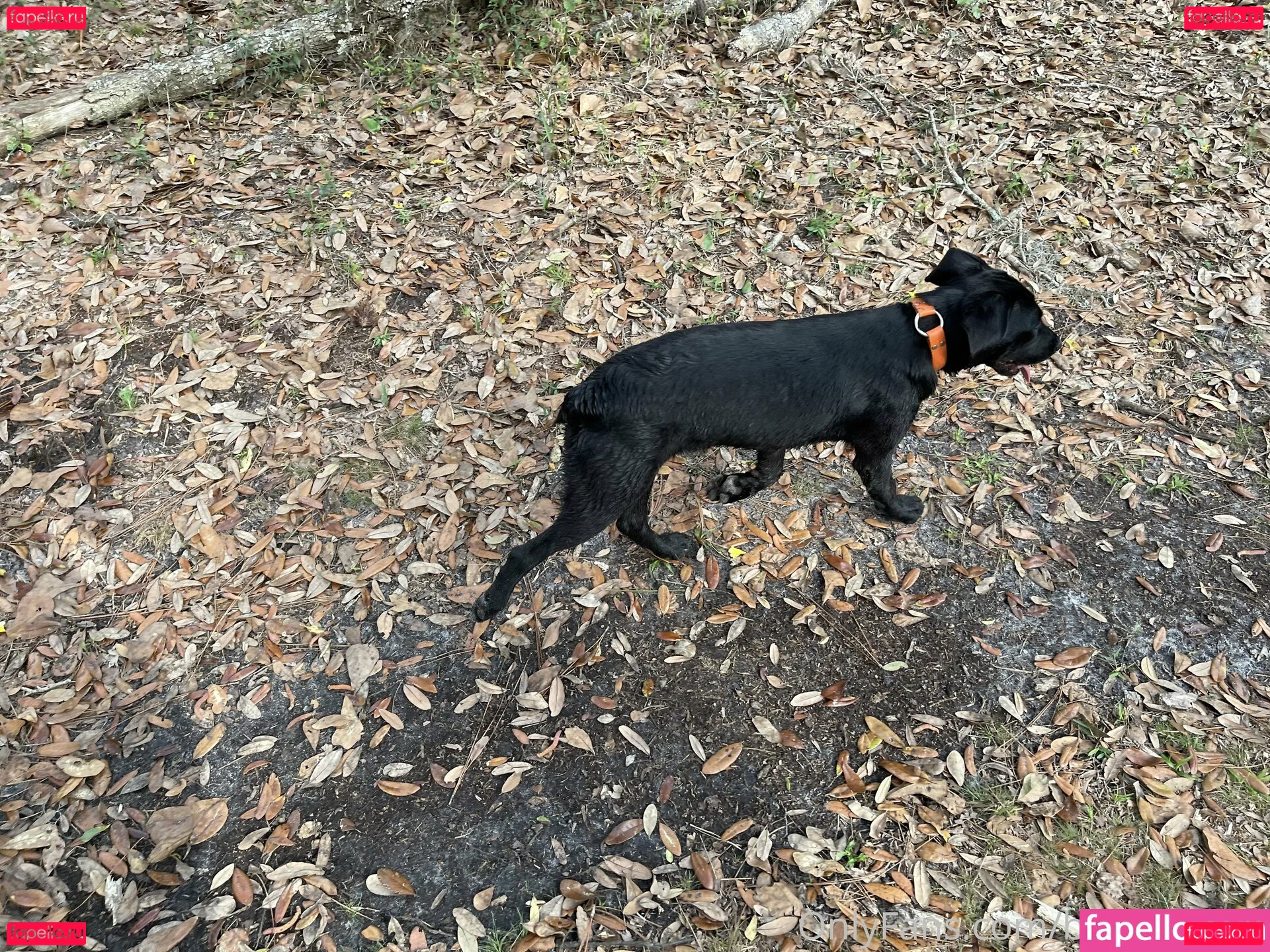 bri_wynters Onlyfans Photo Gallery 