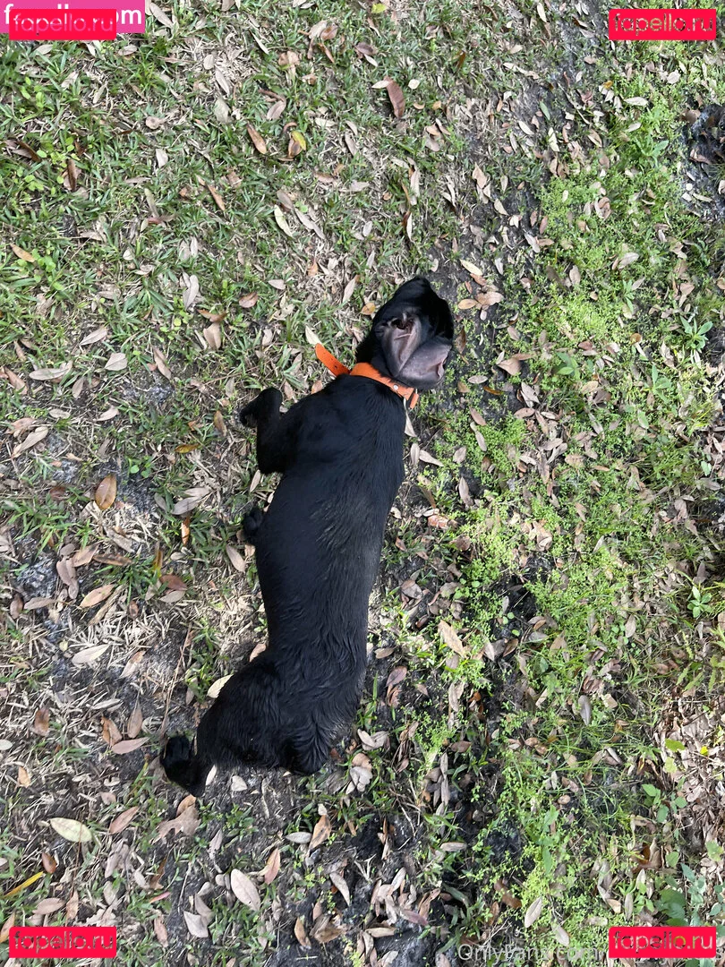 bri_wynters Onlyfans Photo Gallery 