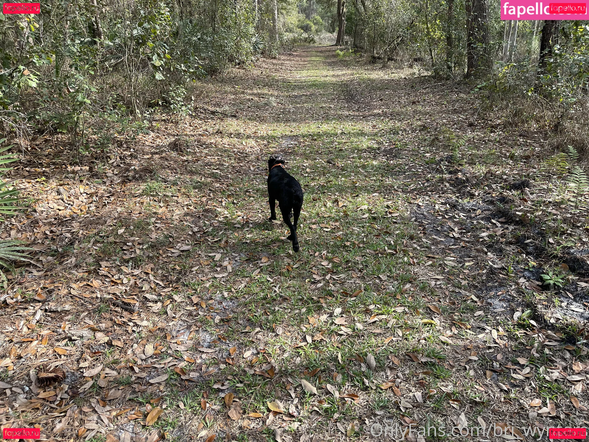 bri_wynters Onlyfans Photo Gallery 