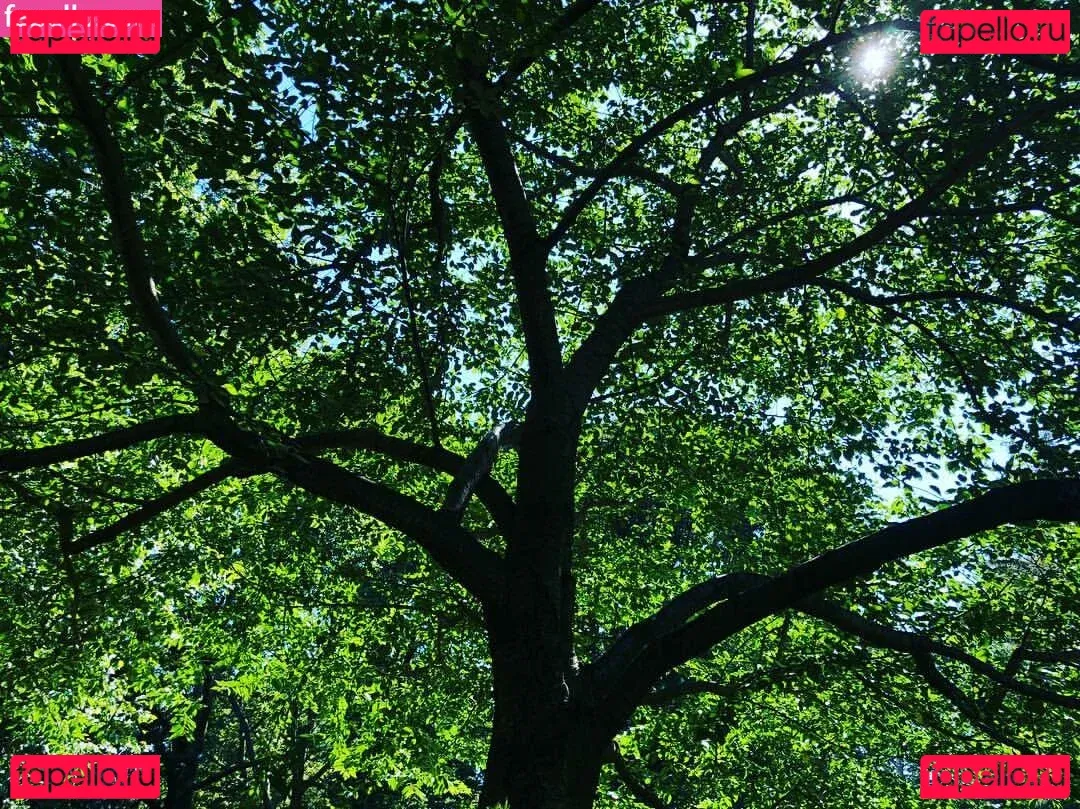 Alysha Grace Marko Onlyfans Photo Gallery 