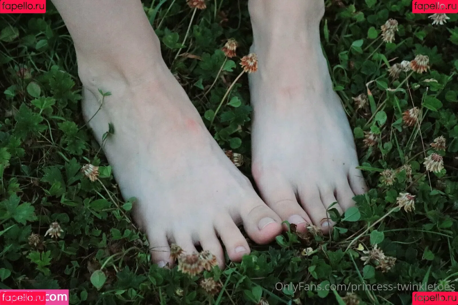 princess-twinkletoes Onlyfans Photo Gallery 