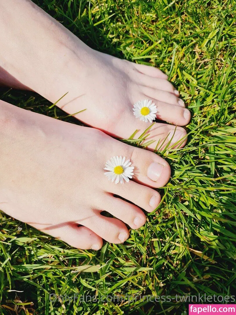 princess-twinkletoes Onlyfans Photo Gallery 