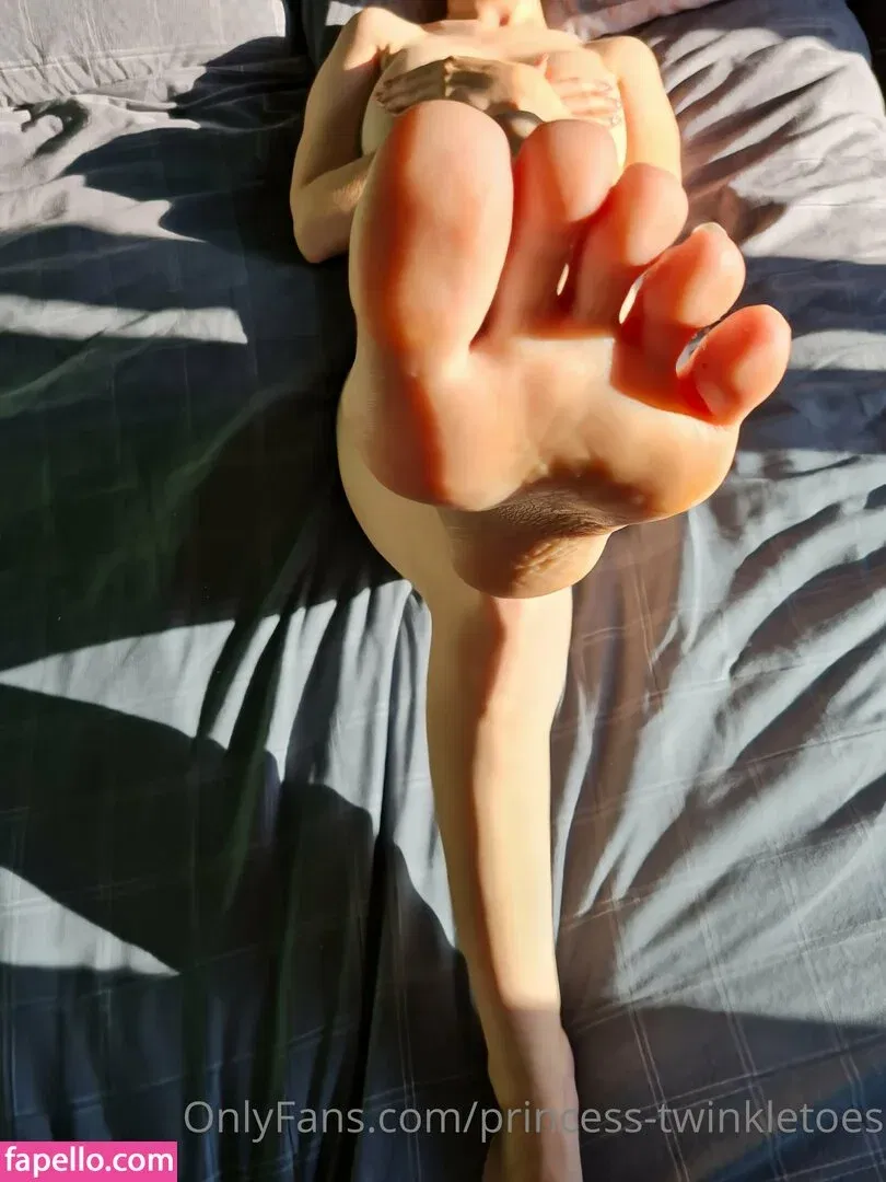 princess-twinkletoes Onlyfans Photo Gallery 