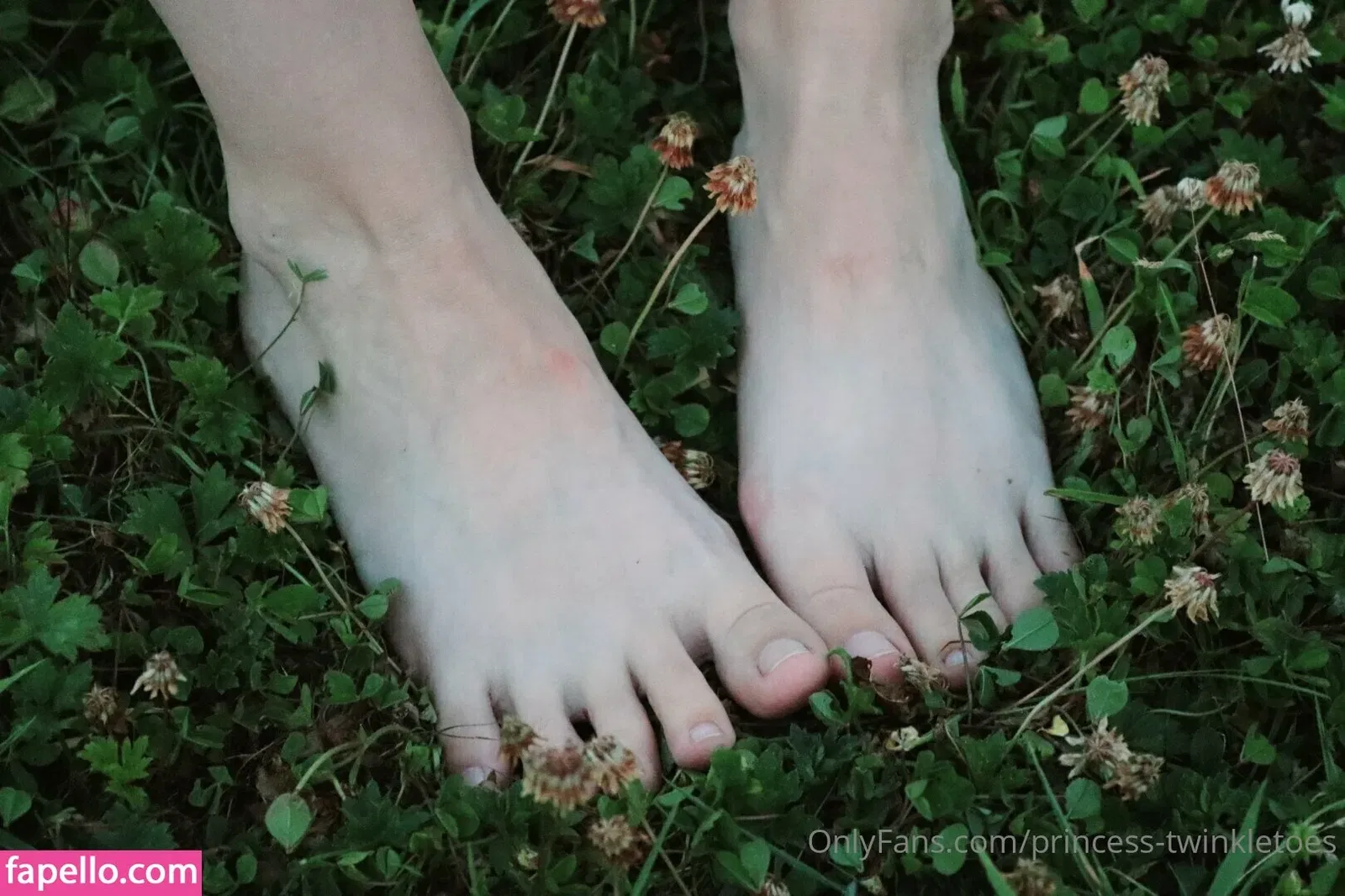 princess-twinkletoes Onlyfans Photo Gallery 