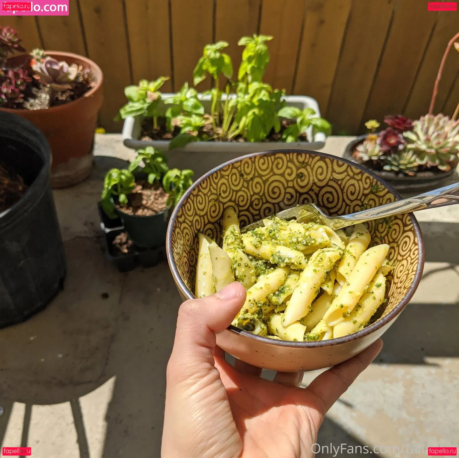 Taliaslife Onlyfans Photo Gallery 